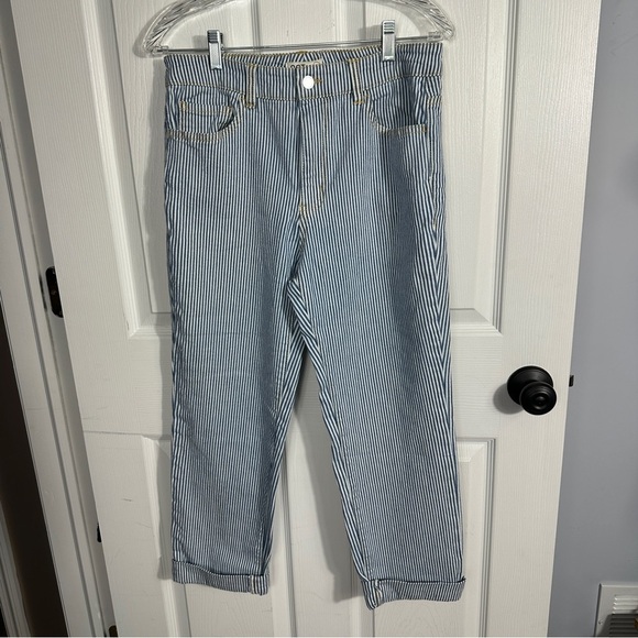 OAT NY pinstripe jeans, size 8/29, blue/white, spring, casual, weekend - Picture 1 of 9